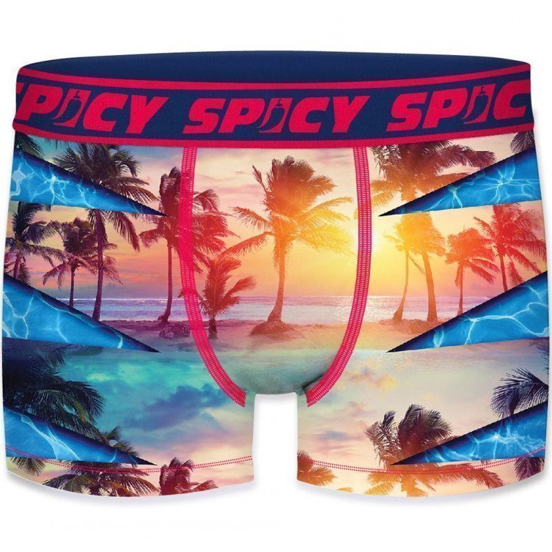 SPICY UNDERWEAR Boxer Homme Microfibre ASS1 Palmiers Bleu Rouge