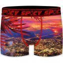 SPICY UNDERWEAR Boxer Homme Microfibre ASS1 Vue du ciel Rouge