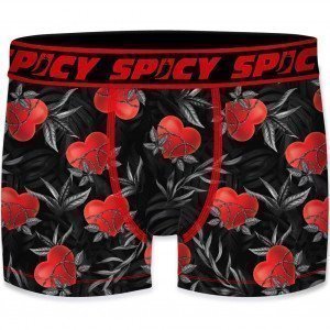 SPICY UNDERWEAR Boxer Homme Microfibre ASS1 Coeur Noir Rouge