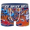 SPICY UNDERWEAR Boxer Homme Microfibre ASS1 Tigre Bleu Orange