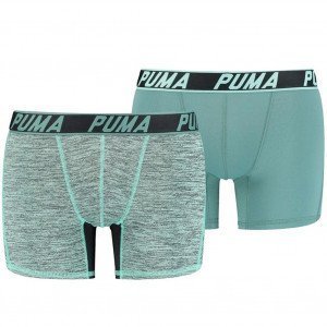 PUMA Lot de 2 Boxers Homme Microfibre ACTIVE RAY Vert combo