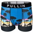 PULL IN Boxer Homme Microfibre COLORSET Bleu