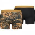 LEVI'S Lot de 2 Boxers Homme Coton TROPICALFERN Noir