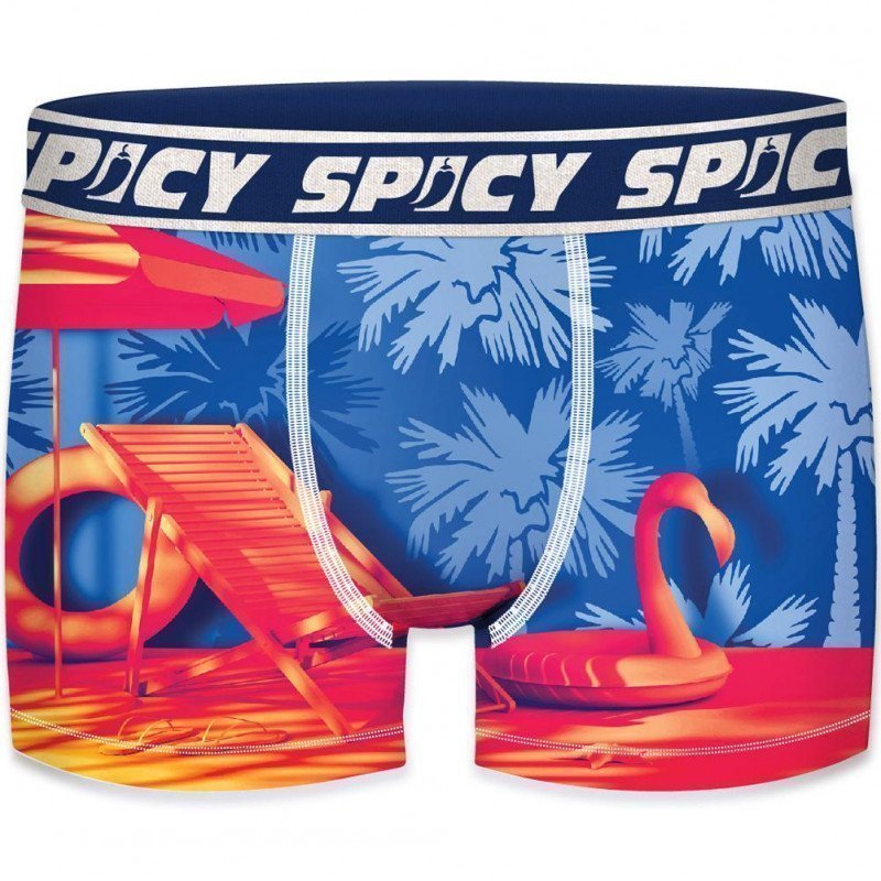 SPICY Boxer Homme Microfibre ASS3 Playa Bleu Rose