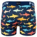 PULL IN Boxer Homme Coton Bio SHARKY Marine