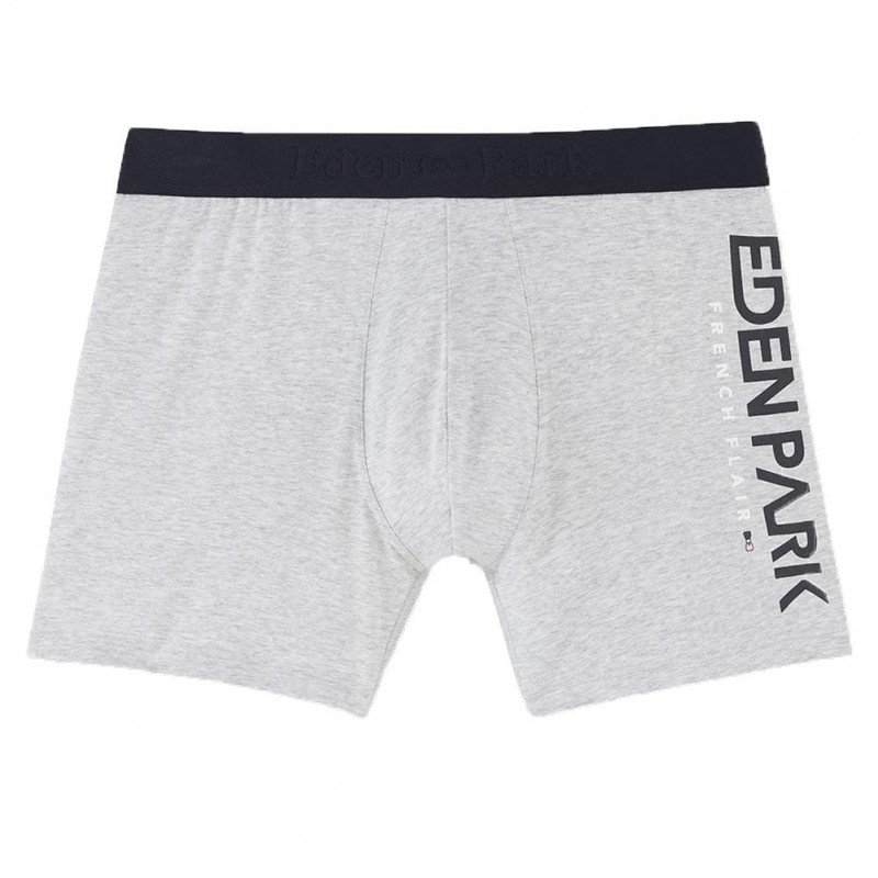 Boxer Homme INSCUIS Gris et Chiné