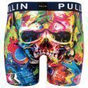 PULL IN Boxer Long Homme Microfibre FASKELETON Multicolore