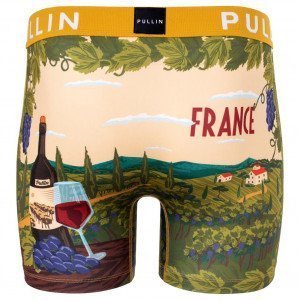 PULL IN Boxer Long Homme Microfibre FAPINO Vert Beige
