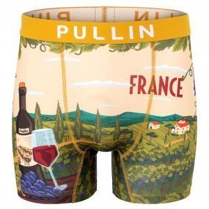 PULL IN Boxer Long Homme Microfibre FAPINO Vert Beige