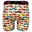 PULL IN Boxer Long Homme Microfibre FARACECAR Multicolore