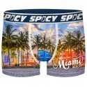 SPICY Boxer Homme Microfibre MIAMI Multicolore