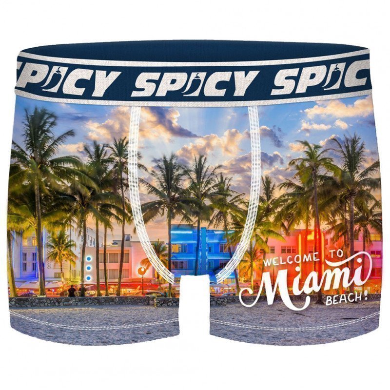 SPICY Boxer Homme Microfibre MIAMI Multicolore