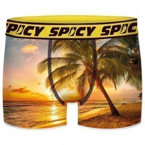 SPICY Boxer Homme Microfibre PALMIER Jaune Noir