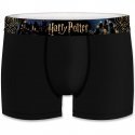 HARRY POTTER Boxer Garçon Coton ASS1 Noir Bleu