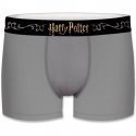 HARRY POTTER Boxer Garçon Coton ASS1 Gris Noir