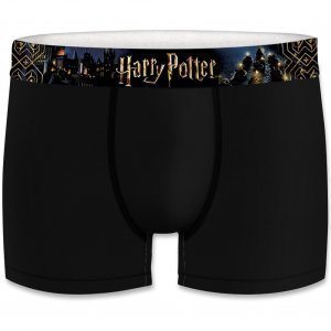 HARRY POTTER Boxer Homme Coton ASS1 Noir Bleu