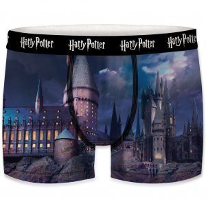 HARRY POTTER Boxer Homme Microfibre POUDLARD Noir Bleu