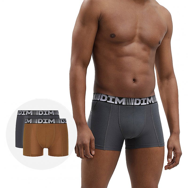 DIM Lot de 2 Boxers Homme Coton 3D FLEX AIR Marron toasté Gris foncé