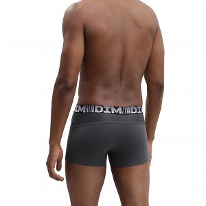 DIM 2 Boxers Homme Coton 3D FLEX AIR Marron toasté Gris foncé