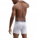 DIM Lot de 2 Boxers longs Homme Coton 3D FLEX AIR Bleu acier Blanc