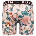 PULL IN Boxer Long Homme Microfibre FACANOA Beige Vert