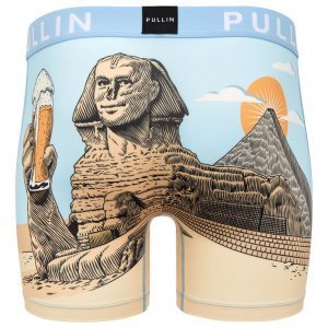 PULL IN Boxer Long Homme Microfibre FASPHYNXBEER Bleu Beige