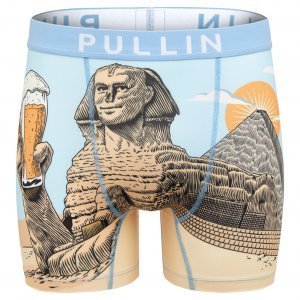 PULL IN Boxer Long Homme Microfibre FASPHYNXBEER Bleu Beige