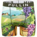 PULL IN Boxer Long Homme Microfibre FAVINEYARD Vert Violet