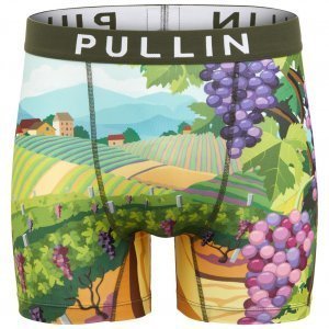 PULL IN Boxer Long Homme Microfibre FAVINEYARD Vert Violet