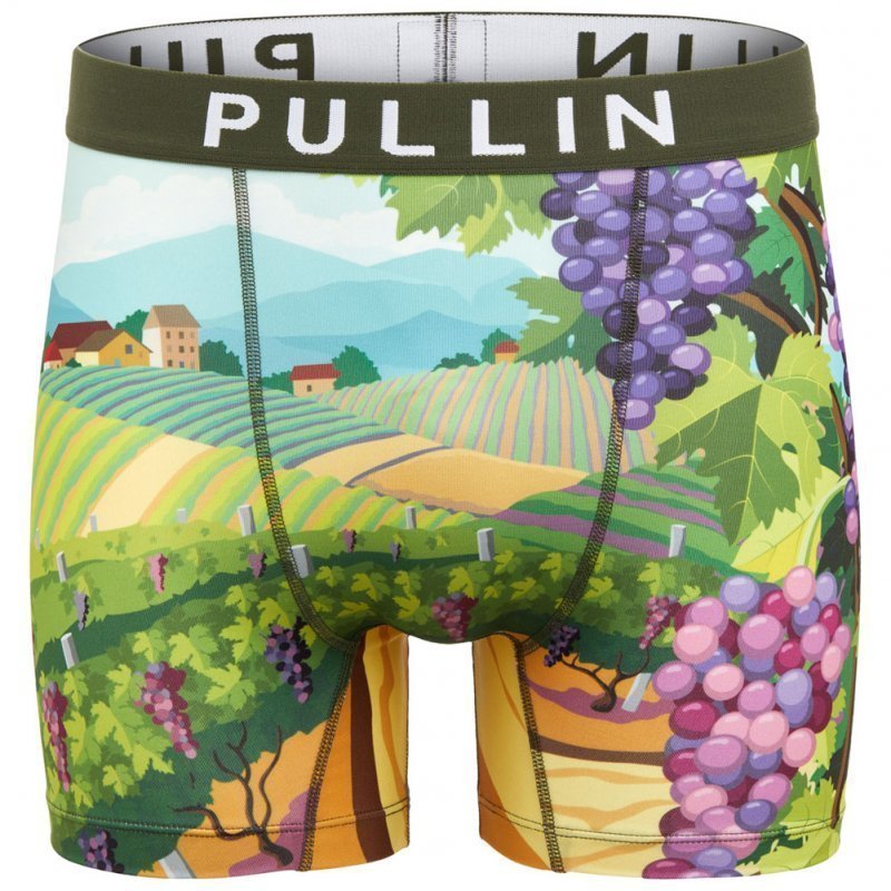 PULL IN Boxer Long Homme Microfibre FAVINEYARD Vert Violet