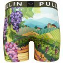 PULL IN Boxer Long Homme Microfibre FAVINEYARD Vert Violet