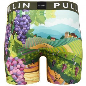 PULL IN Boxer Long Homme Microfibre FAVINEYARD Vert Violet