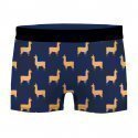 LOT DE 2 Boxer Sous-vêtements Homme ANIM Bleu et Noir