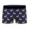 CRAZYBOXER Lot de 2 Boxers Homme Coton Bio LAMA BCBX2 ANIM Bleu Noir