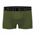 CRAZYBOXER 2 Boxers Homme Coton Bio BCBCX2 SUMM Gris Vert PALMIER