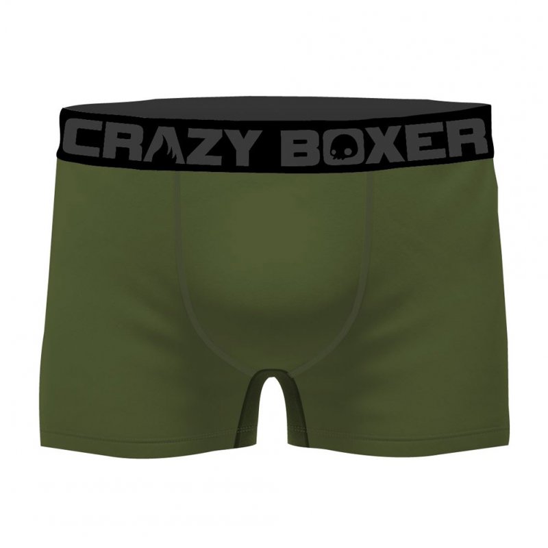 CRAZYBOXER 2 Boxers Homme Coton Bio BCBCX2 SUMM Gris Vert PALMIER