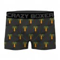 CRAZYBOXER 2 Boxers Homme Coton Bio BCBCX2 SUMM Gris Vert PALMIER