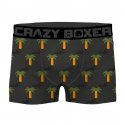 CRAZYBOXER Lot de 2 Boxers Homme Coton Bio BCBCX2 SUMM Gris Vert PALMIER