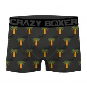 CRAZYBOXER 2 Boxers Homme Coton Bio BCBCX2 SUMM Gris Vert PALMIER