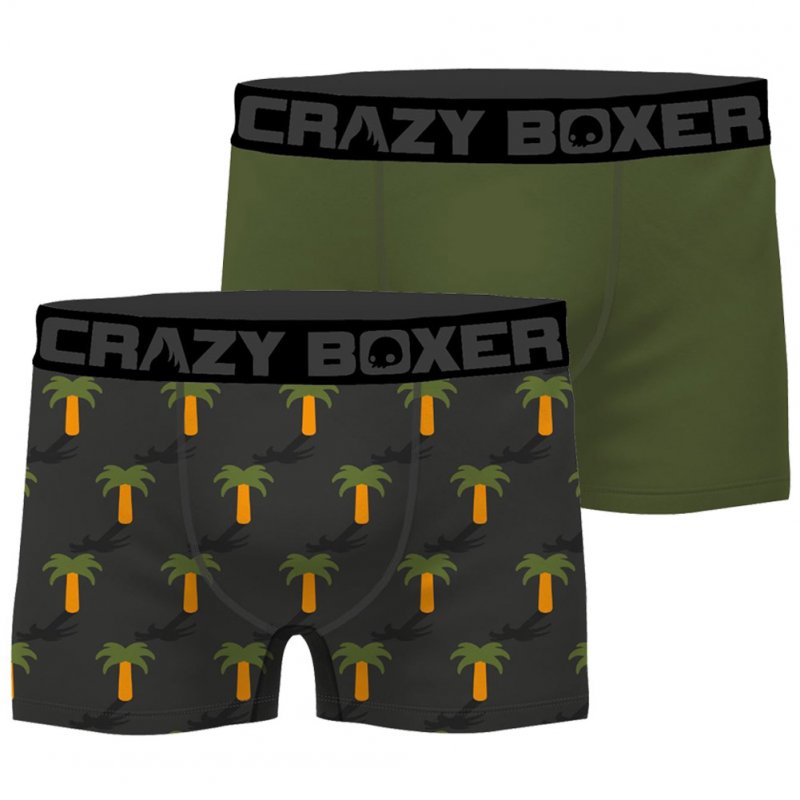 CRAZYBOXER 2 Boxers Homme Coton Bio BCBCX2 SUMM Gris Vert PALMIER