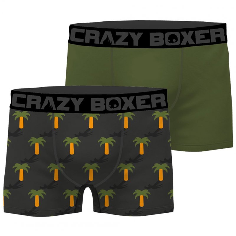 CRAZYBOXER Lot de 2 Boxers Homme Coton Bio BCBCX2 SUMM Gris Vert PALMIER