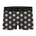 CRAZYBOXER Lot de 2 Boxers Homme Coton Bio BCBCX2 SUMM Gris Kaki FLOWER