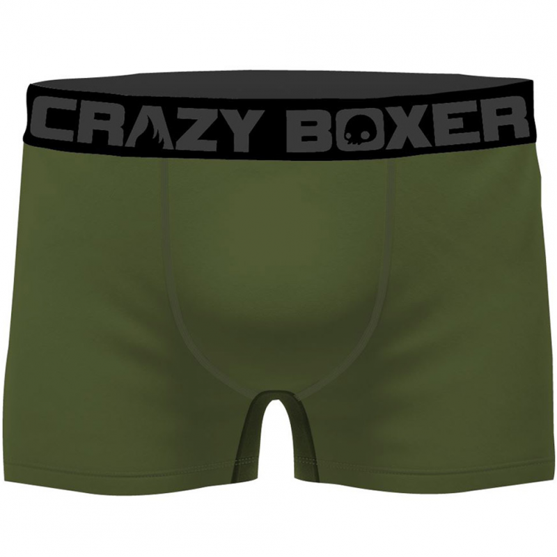 CRAZYBOXER 3 Boxers Homme Coton Bio BCBCX2 FLOW Gris Kaki FLOWER