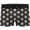 CRAZYBOXER Lot de 3 Boxers Homme Coton Bio BCBCX2 FLOW Gris Kaki FLOWER