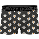 CRAZYBOXER 3 Boxers Homme Coton Bio BCBCX2 FLOW Gris Kaki FLOWER