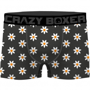 CRAZYBOXER 3 Boxers Homme Coton Bio BCBCX2 FLOW Gris Kaki FLOWER