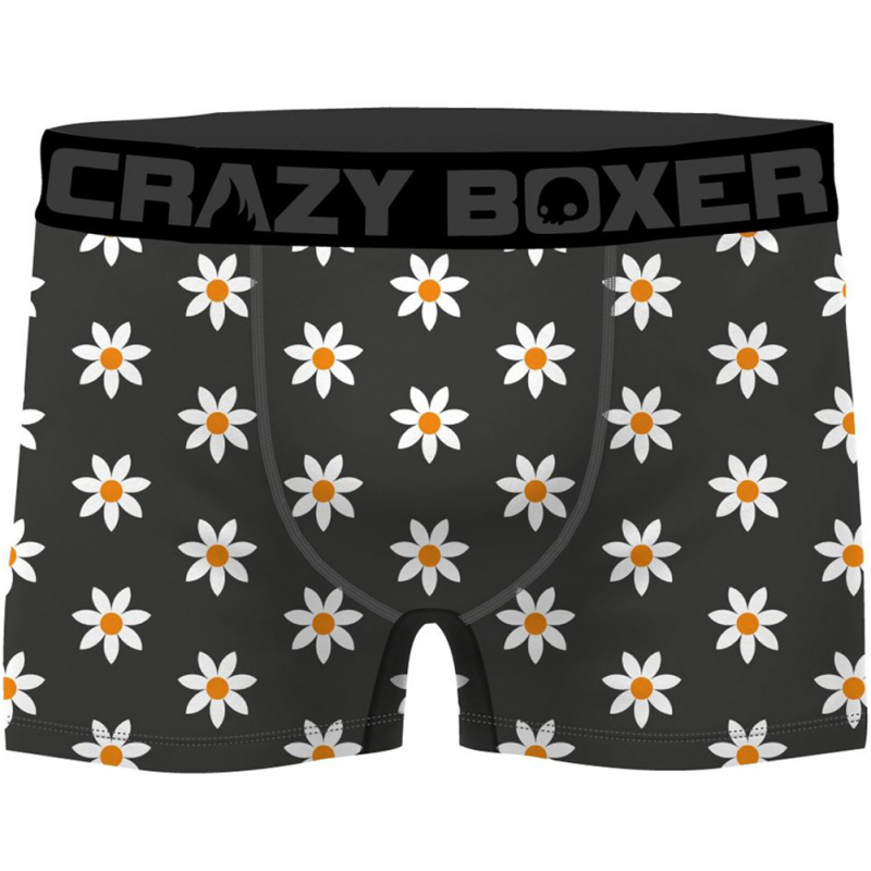 CRAZYBOXER Lot de 3 Boxers Homme Coton Bio BCBCX2 FLOW Gris Kaki FLOWER