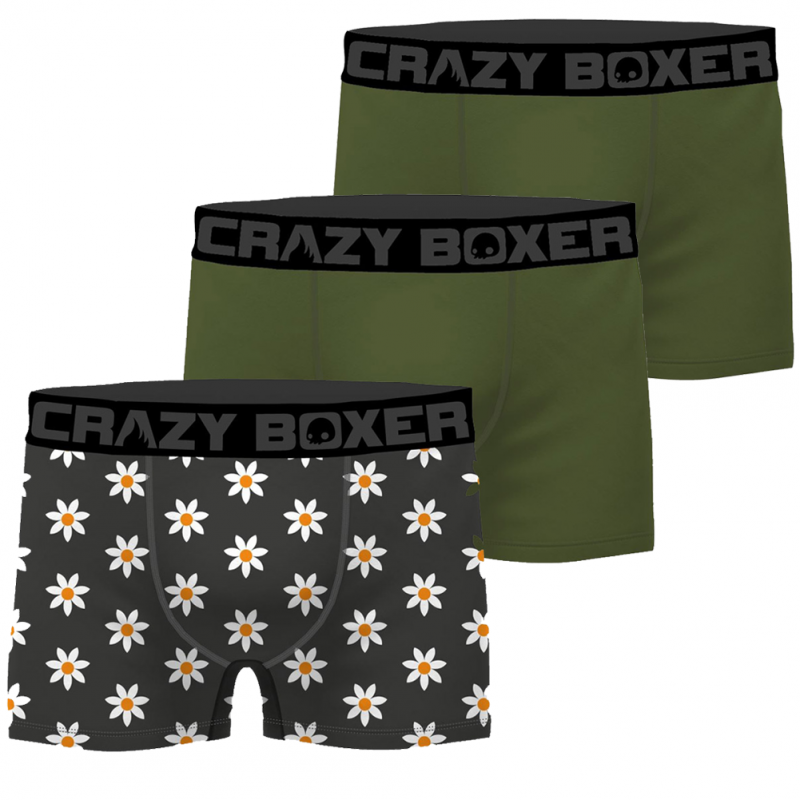 CRAZYBOXER Lot de 3 Boxers Homme Coton Bio BCBCX2 FLOW Gris Kaki FLOWER