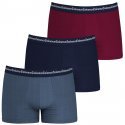 LOT DE 3 Boxer Sous-vêtements Homme BUSINESSPRINT Bleu et Bordeaux