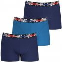 ATHENA Lot de 3 Boxers Homme Coton ENDURANCE 24H Marine Bleu